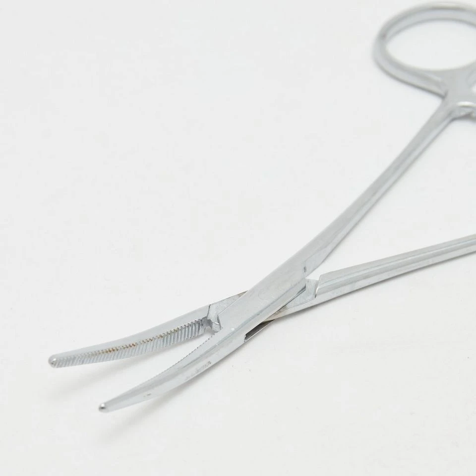 Curved Forceps 16Cm 4 Curved Forceps 16Cm - Image 2