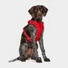 Ruffwear Front Range Dog Harness Red 2 Ruffwear Front Range Dog Harness Red -Outdoor Camping Store go 376054 a