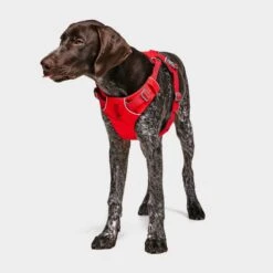 Ruffwear Front Range Dog Harness Red -Outdoor Camping Store go 376054 c