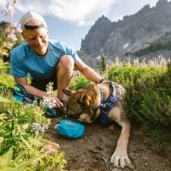 Ruffwear Front Range™ Dog Collar -Outdoor Camping Store go 479983 d